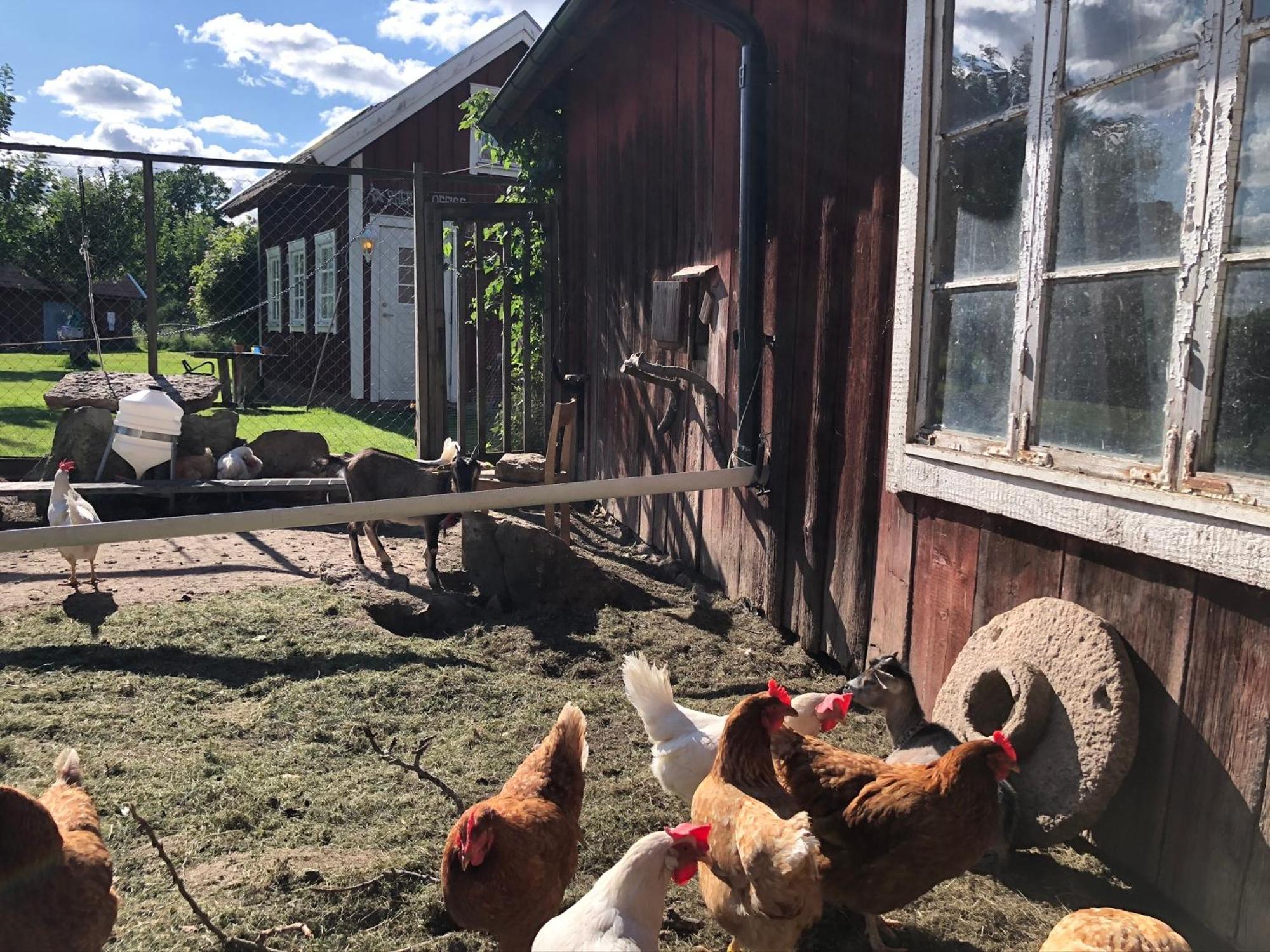 Aeventyrsgardens Vandrarhem, Kinnekulle Källby Eksteriør billede