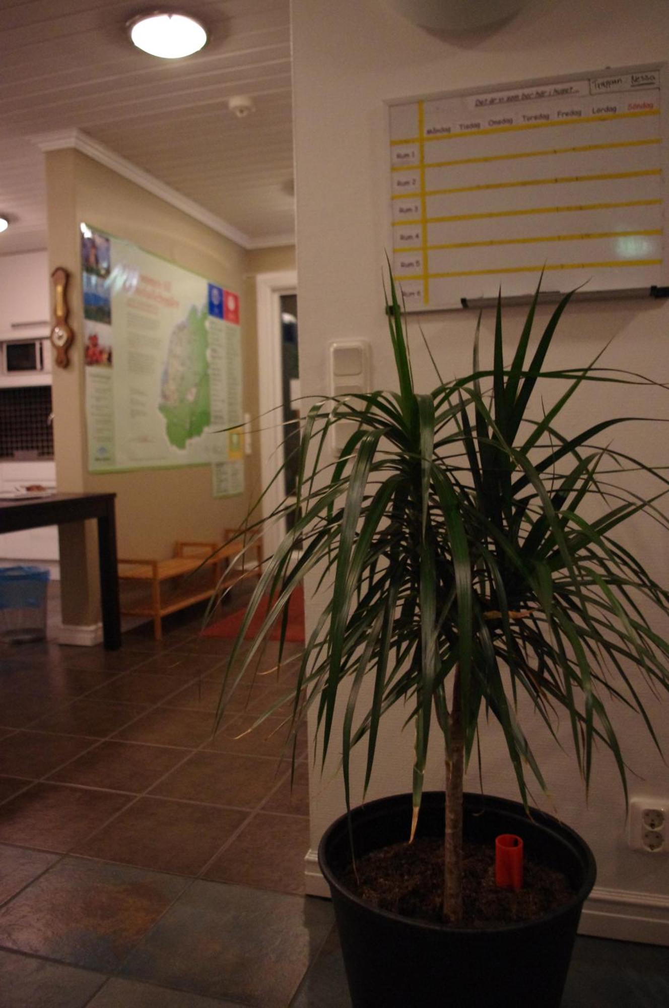 Aeventyrsgardens Vandrarhem, Kinnekulle Källby Eksteriør billede